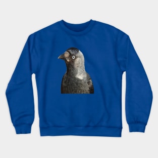 Side Profile Of A Beady Eyed Jackdaw Cut Out Crewneck Sweatshirt